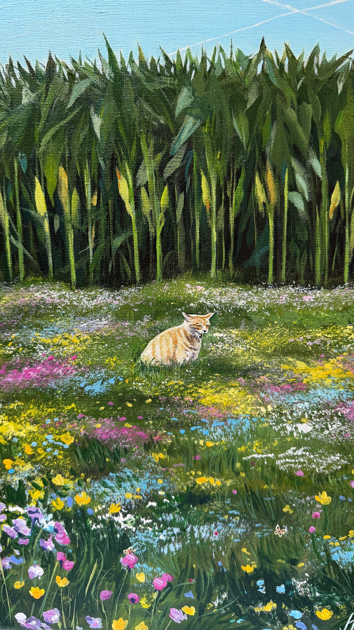 Cat sitting in a field of flowers and corn