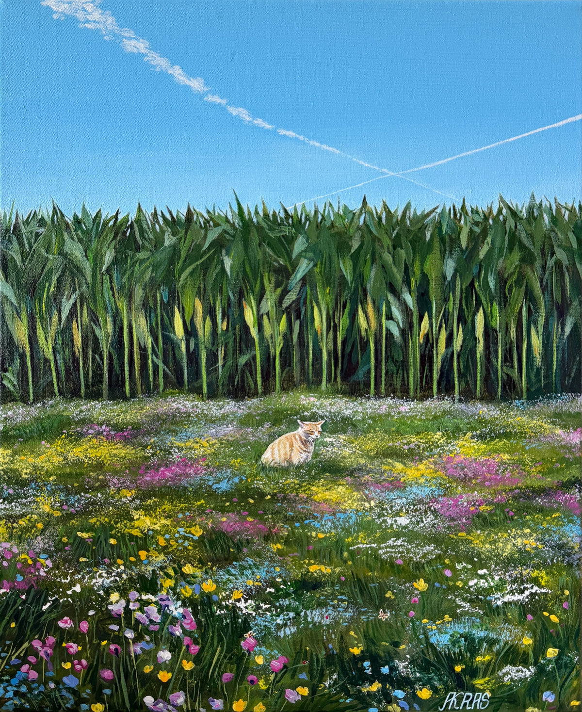Cat sitting in a field of flowers with a cornfield in the background